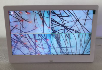 唯秦秘的“价值不动点”：在万千变化中，什么是我们绝不妥协的核心？