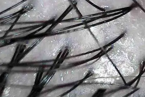 唯秦秘如何用“AI标准化”解决服务业“千店千面”的品质难题？